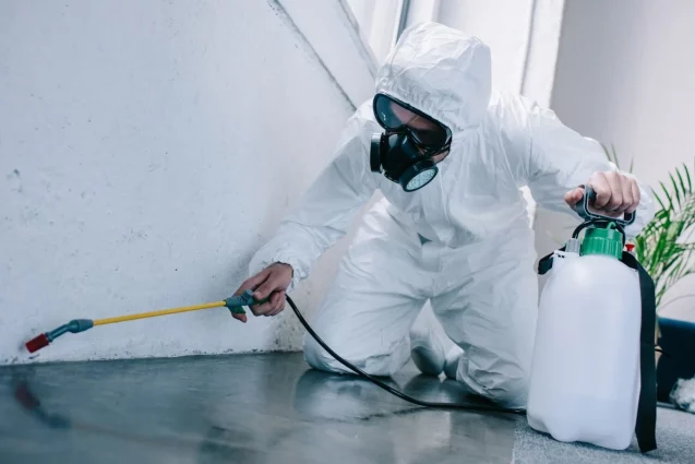 Technicien en désinsectisation appliquant un traitement anti-nuisibles en intérieur dans une habitation